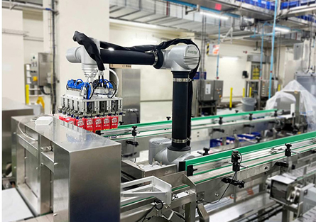 robotic bottle case packer