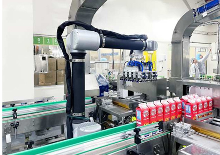 case packer roboticas