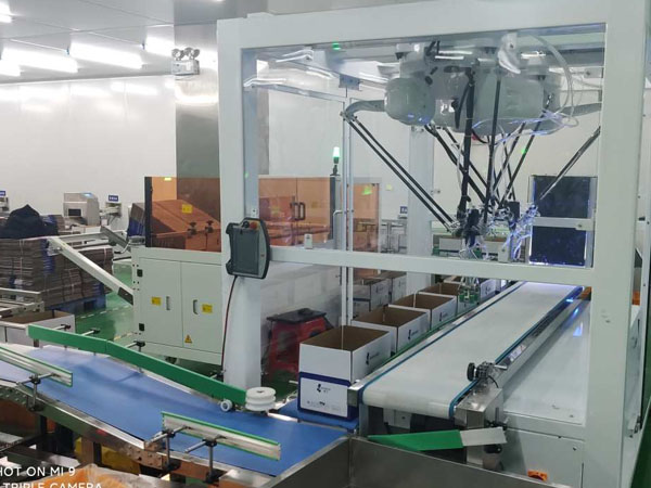 Collaborative Palletizing Workstation for Precision Product Handling