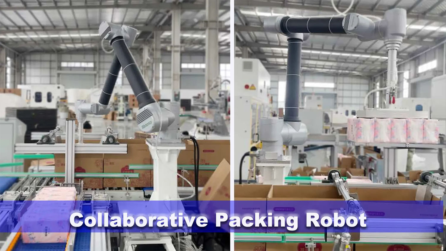 collaborative packing robot